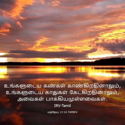 Picture 03 - மத்தேயு 13:16 TAMIRV - உங்களுடைய கண்கள் - Bible Verse Picture