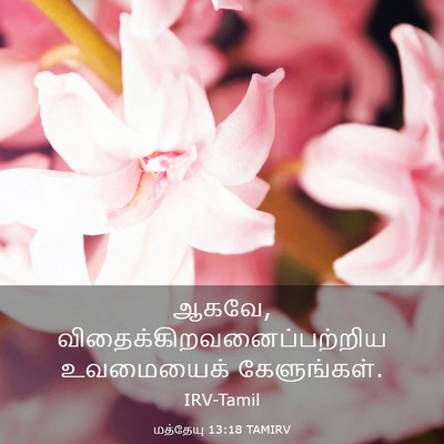 Picture 03 - மத்தேயு 13:18 TAMIRV - ஆகவே, - Bible Verse Picture