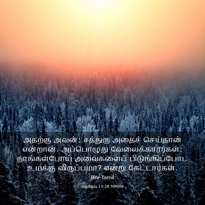 Picture 03 - மத்தேயு 13:28 TAMIRV - அதற்கு அவன்: - Bible Verse Picture
