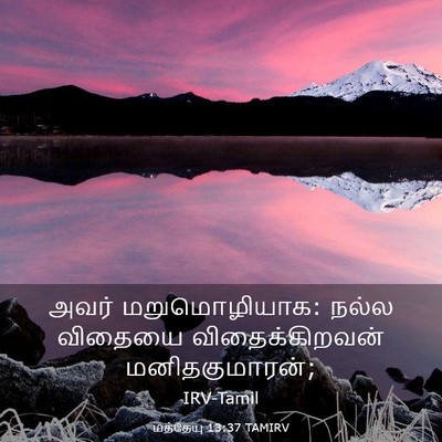 Picture 03 - மத்தேயு 13:37 TAMIRV - அவர் மறுமொழியாக: - Bible Verse Picture