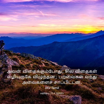 Picture 03 - மத்தேயு 13:4 TAMIRV - அவன் - Bible Verse Picture
