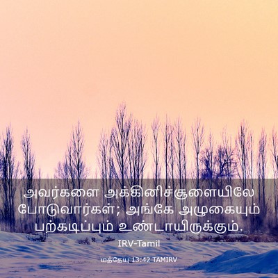 Picture 03 - மத்தேயு 13:42 TAMIRV - அவர்களை - Bible Verse Picture