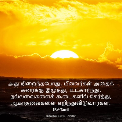 Picture 03 - மத்தேயு 13:48 TAMIRV - அது நிறைந்தபோது, - Bible Verse Picture