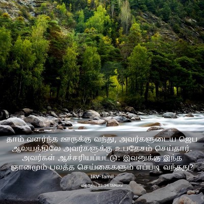 Picture 03 - மத்தேயு 13:54 TAMIRV - தாம் வளர்ந்த - Bible Verse Picture