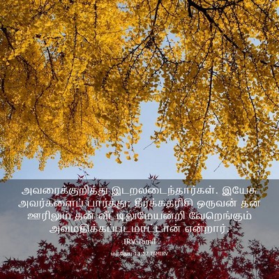 Picture 03 - மத்தேயு 13:57 TAMIRV - அவரைக்குறித்து - Bible Verse Picture
