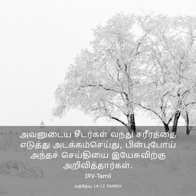 Picture 03 - மத்தேயு 14:12 TAMIRV - அவனுடைய சீடர்கள் - Bible Verse Picture