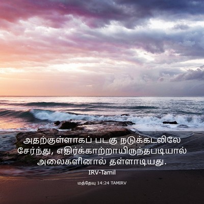 Picture 03 - மத்தேயு 14:24 TAMIRV - அதற்குள்ளாகப் - Bible Verse Picture