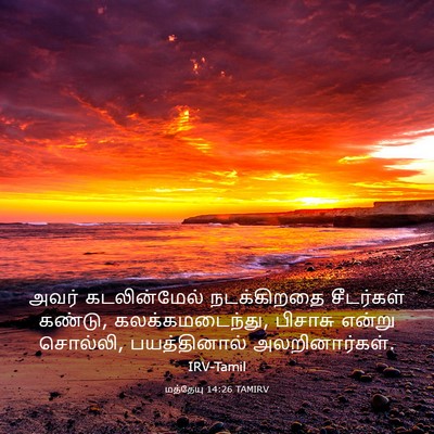Picture 03 - மத்தேயு 14:26 TAMIRV - அவர் கடலின்மேல் - Bible Verse Picture