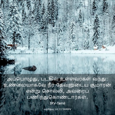 Picture 03 - மத்தேயு 14:33 TAMIRV - அப்பொழுது, படகில் - Bible Verse Picture
