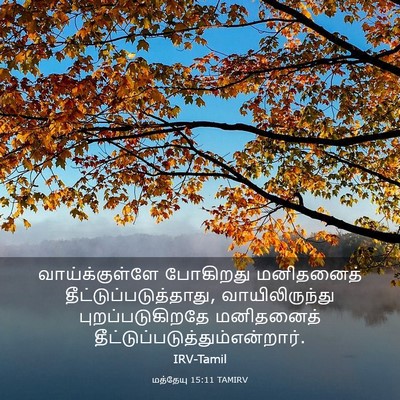 Picture 03 - மத்தேயு 15:11 TAMIRV - வாய்க்குள்ளே - Bible Verse Picture