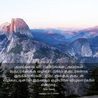 Picture 03 - மத்தேயு 15:14 TAMIRV - அவர்களை - Bible Verse Picture