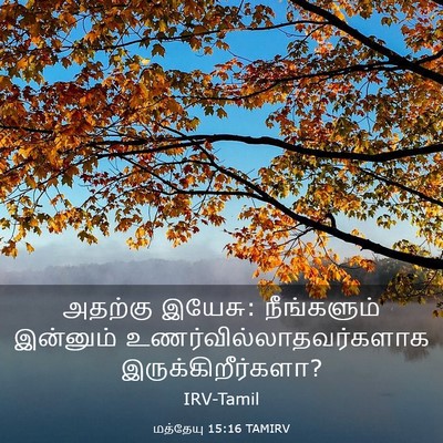 Picture 03 - மத்தேயு 15:16 TAMIRV - அதற்கு இயேசு: - Bible Verse Picture