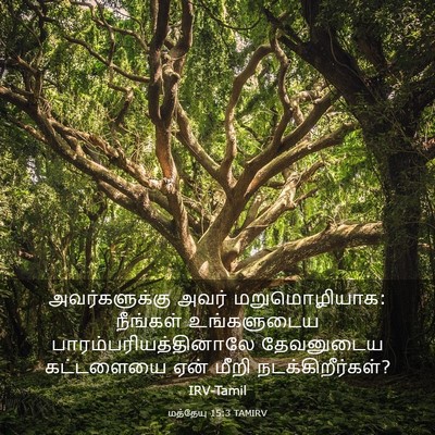 Picture 03 - மத்தேயு 15:3 TAMIRV - அவர்களுக்கு அவர் - Bible Verse Picture
