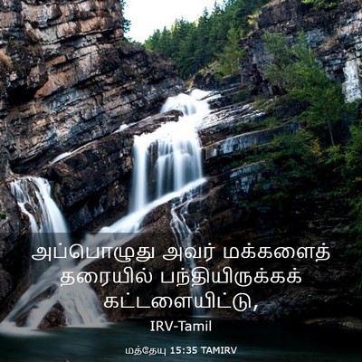 Picture 03 - மத்தேயு 15:35 TAMIRV - அப்பொழுது அவர் - Bible Verse Picture