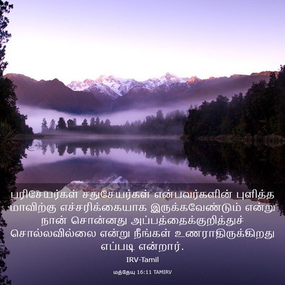 Picture 03 - மத்தேயு 16:11 TAMIRV - பரிசேயர்கள் - Bible Verse Picture