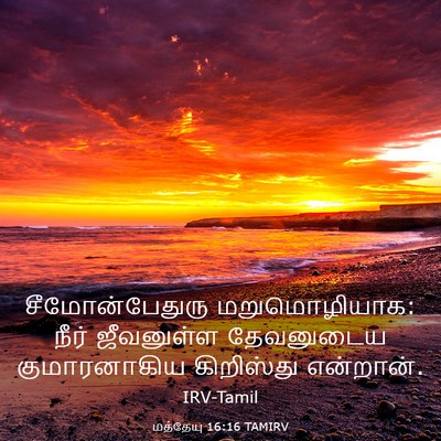 Picture 03 - மத்தேயு 16:16 TAMIRV - சீமோன்பேதுரு - Bible Verse Picture