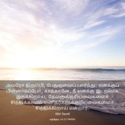 Picture 03 - மத்தேயு 16:23 TAMIRV - அவரோ திரும்பி, - Bible Verse Picture