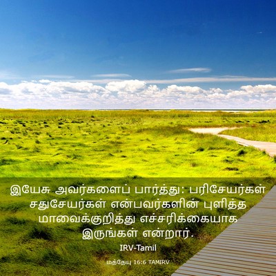 Picture 03 - மத்தேயு 16:6 TAMIRV - இயேசு அவர்களைப் - Bible Verse Picture