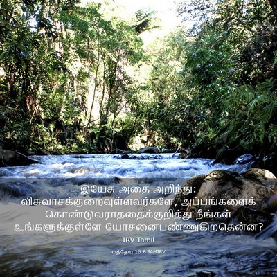 Picture 03 - மத்தேயு 16:8 TAMIRV - இயேசு அதை அறிந்து: - Bible Verse Picture