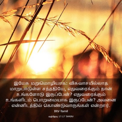 Picture 03 - மத்தேயு 17:17 TAMIRV - இயேசு மறுமொழியாக: - Bible Verse Picture