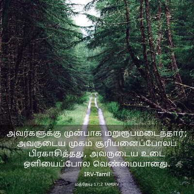 Picture 03 - மத்தேயு 17:2 TAMIRV - அவர்களுக்கு - Bible Verse Picture