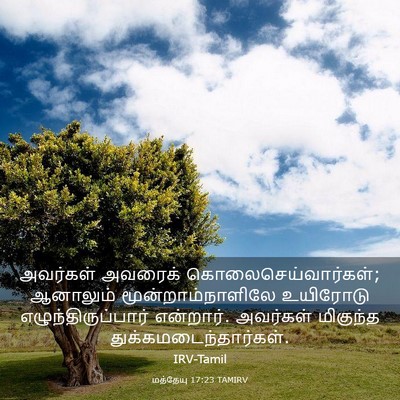 Picture 03 - மத்தேயு 17:23 TAMIRV - அவர்கள் அவரைக் - Bible Verse Picture