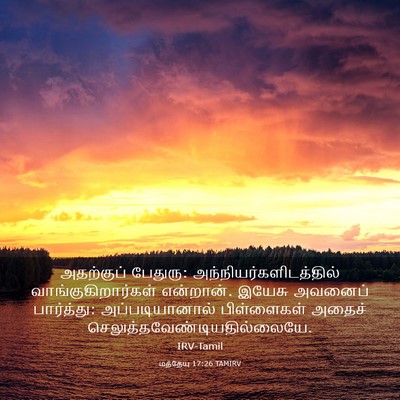 Picture 03 - மத்தேயு 17:26 TAMIRV - அதற்குப் பேதுரு: - Bible Verse Picture