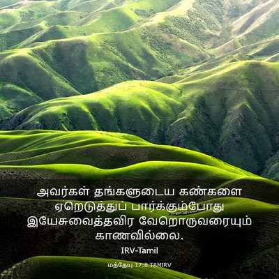 Picture 03 - மத்தேயு 17:8 TAMIRV - அவர்கள் தங்களுடைய - Bible Verse Picture