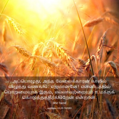 Picture 03 - மத்தேயு 18:26 TAMIRV - அப்பொழுது, அந்த - Bible Verse Picture