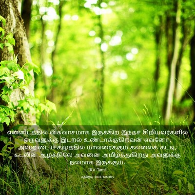 Picture 03 - மத்தேயு 18:6 TAMIRV - என்னிடத்தில் - Bible Verse Picture