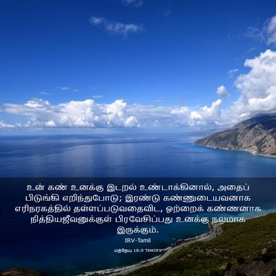 Picture 03 - மத்தேயு 18:9 TAMIRV - உன் கண் உனக்கு - Bible Verse Picture