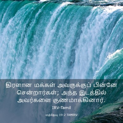 Picture 03 - மத்தேயு 19:2 TAMIRV - திரளான மக்கள் - Bible Verse Picture
