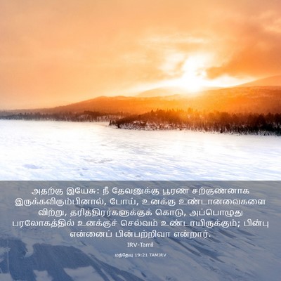 Picture 03 - மத்தேயு 19:21 TAMIRV - அதற்கு இயேசு: நீ - Bible Verse Picture