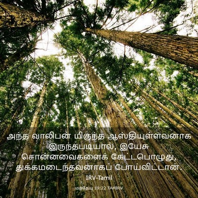 Picture 03 - மத்தேயு 19:22 TAMIRV - அந்த வாலிபன் - Bible Verse Picture