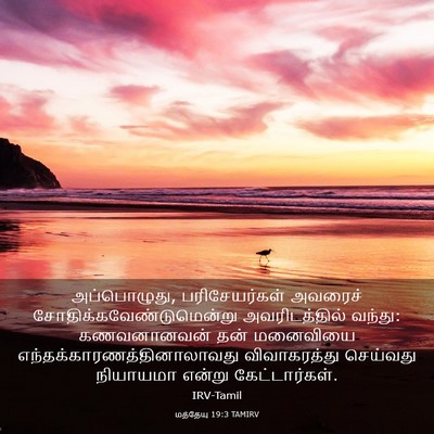 Picture 03 - மத்தேயு 19:3 TAMIRV - அப்பொழுது, - Bible Verse Picture
