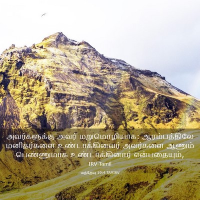 Picture 03 - மத்தேயு 19:4 TAMIRV - அவர்களுக்கு அவர் - Bible Verse Picture