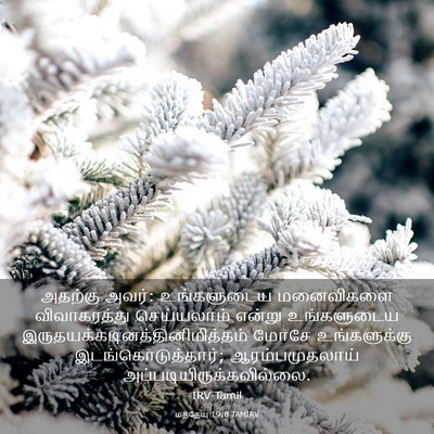 Picture 03 - மத்தேயு 19:8 TAMIRV - அதற்கு அவர்: - Bible Verse Picture