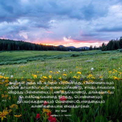 Picture 03 - மத்தேயு 2:11 TAMIRV - அவர்கள் அந்த - Bible Verse Picture