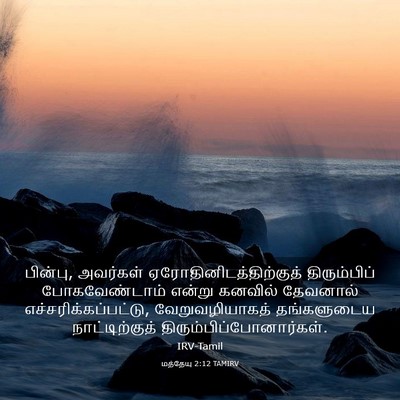 Picture 03 - மத்தேயு 2:12 TAMIRV - பின்பு, அவர்கள் - Bible Verse Picture