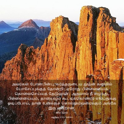 Picture 03 - மத்தேயு 2:13 TAMIRV - அவர்கள் - Bible Verse Picture