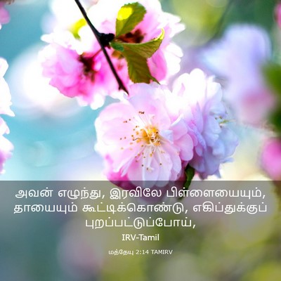 Picture 03 - மத்தேயு 2:14 TAMIRV - அவன் எழுந்து, - Bible Verse Picture