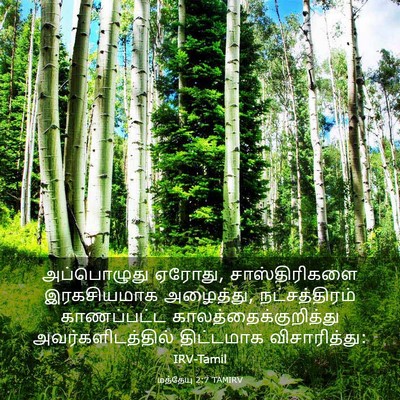 Picture 03 - மத்தேயு 2:7 TAMIRV - அப்பொழுது ஏரோது, - Bible Verse Picture