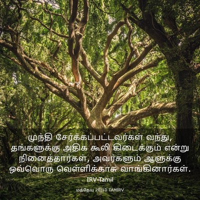 Picture 03 - மத்தேயு 20:10 TAMIRV - முந்தி - Bible Verse Picture