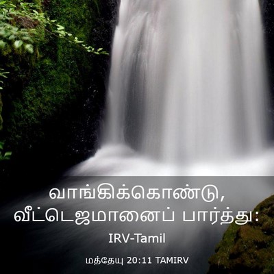 Picture 03 - மத்தேயு 20:11 TAMIRV - வாங்கிக்கொண்டு, - Bible Verse Picture