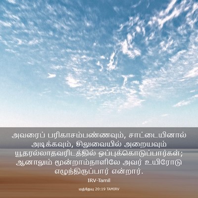 Picture 03 - மத்தேயு 20:19 TAMIRV - அவரைப் - Bible Verse Picture