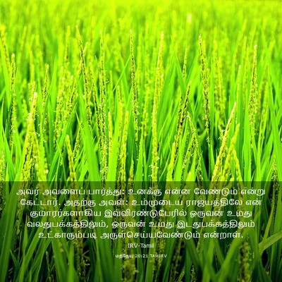 Picture 03 - மத்தேயு 20:21 TAMIRV - அவர் அவளைப் - Bible Verse Picture