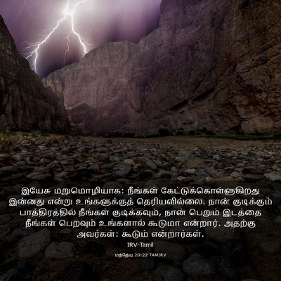 Picture 03 - மத்தேயு 20:22 TAMIRV - இயேசு மறுமொழியாக: - Bible Verse Picture