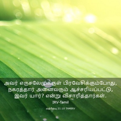 Picture 03 - மத்தேயு 21:10 TAMIRV - அவர் - Bible Verse Picture