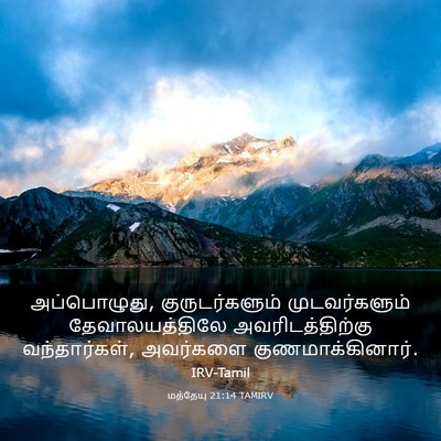 Picture 03 - மத்தேயு 21:14 TAMIRV - அப்பொழுது, - Bible Verse Picture