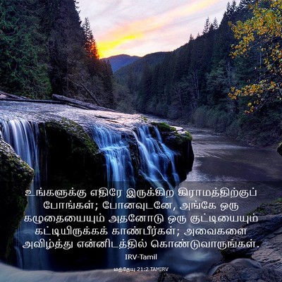 Picture 03 - மத்தேயு 21:2 TAMIRV - உங்களுக்கு எதிரே - Bible Verse Picture